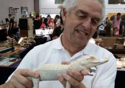 Albino Alligator | Reptiles | Creation Critters | Lakeland
