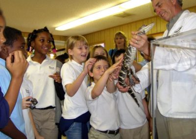 Can I touch the alligator | Brevard Christian School | Creation Critters | Lakeland