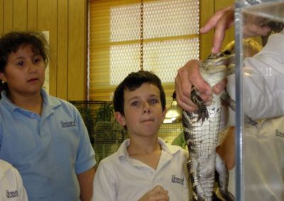 I like alligators! | Brevard Christian School | Creation Critters | Lakeland