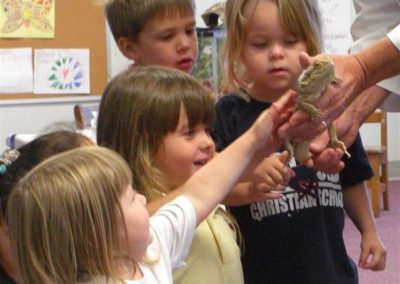 I like touching the bearded dragon | Northside Christian Pre-school | Creation Critters | Lakeland
