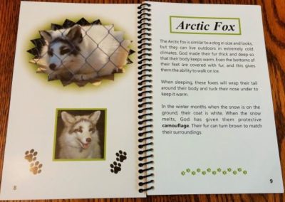 Arctic Fox | Creation Critters | Lakeland